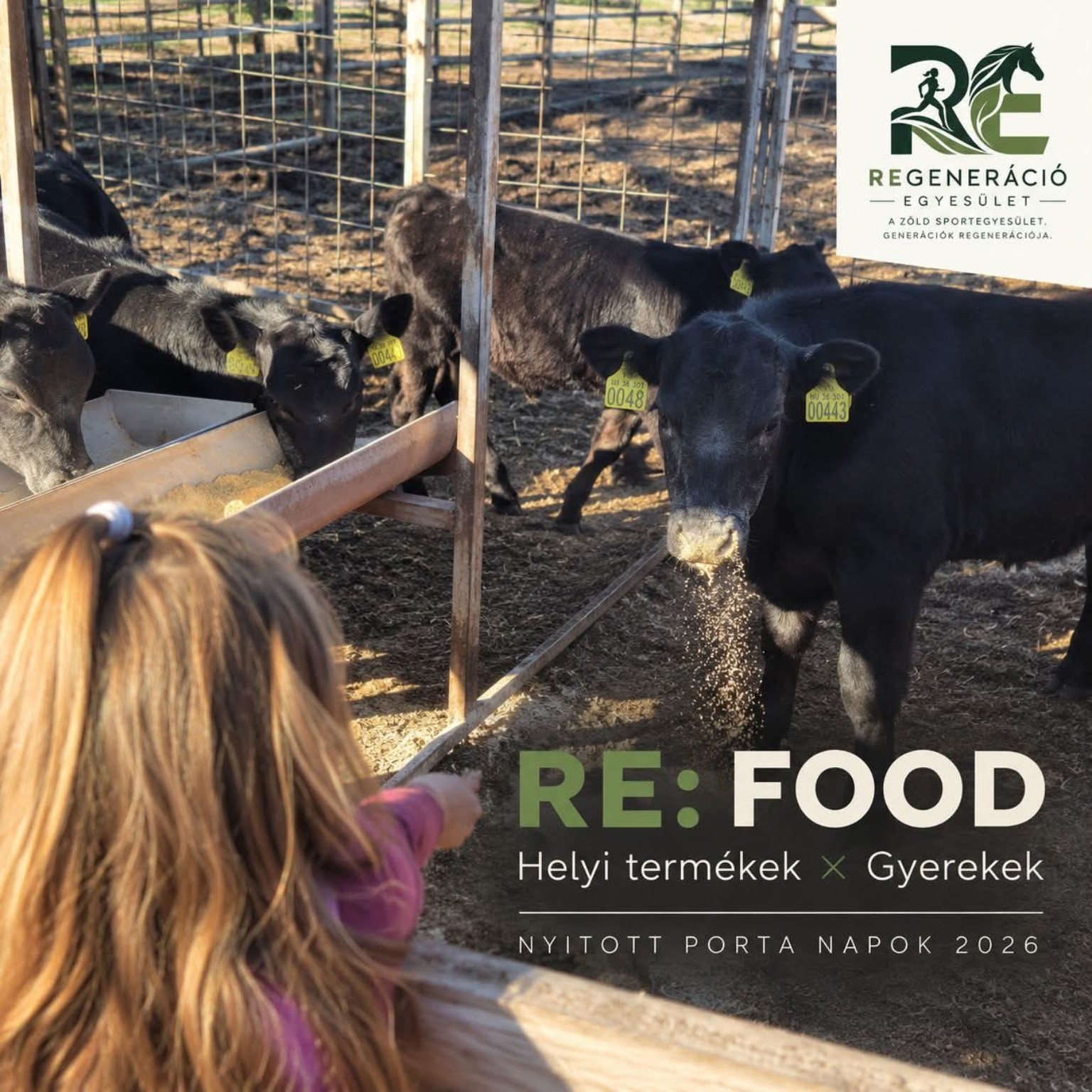 RE:FOOD – Helyi termékek × Gyerekek: gyermek és szarvasmarhák a Farm54-látogatás képén, Nyitott Porta Napok 2026